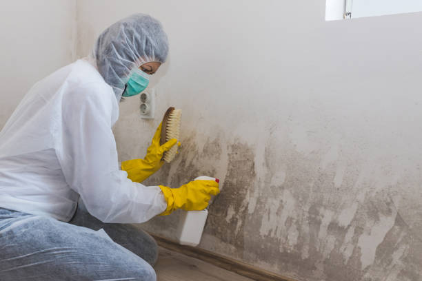 Best Biohazard Mold Removal  in West Long Branch, NJ