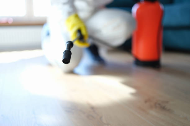West Long Branch, NJ Mold Removal Company